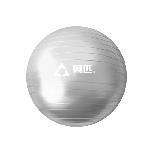 Gym Ball China 55CM ASH