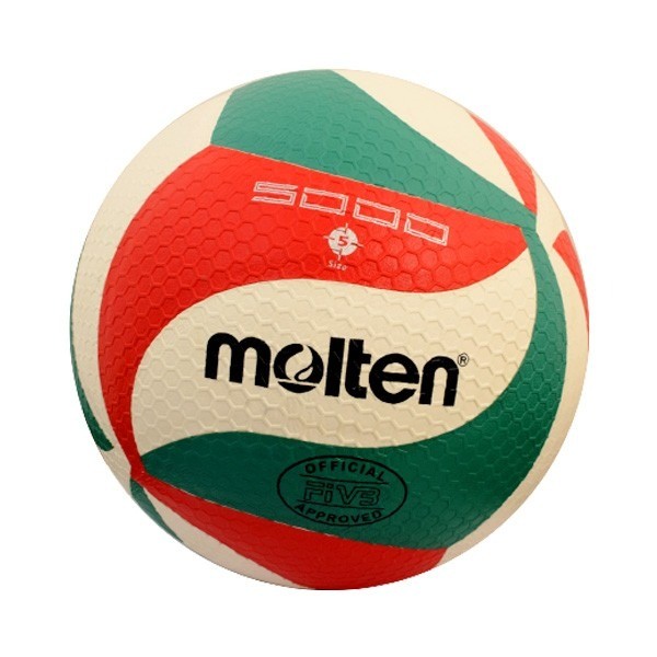 Volleyball (Molten)